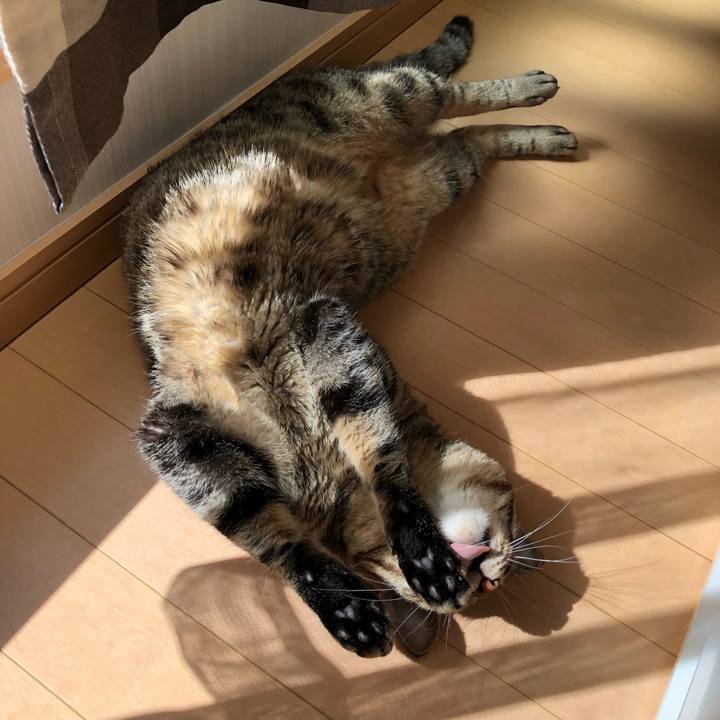 983f4129 17c1 4e95 9181 e1c29ae3e691 1538110189031