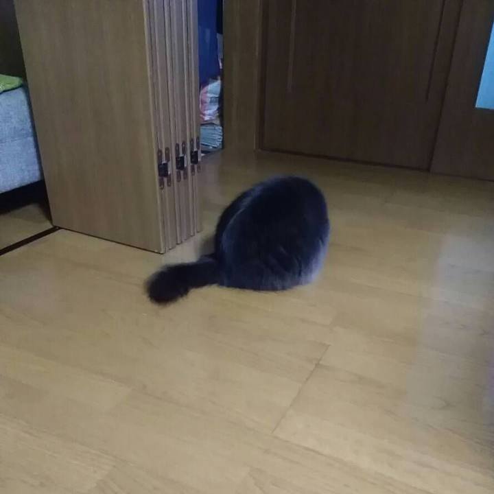 983f4489 4525 4934 8dd9 06188ad9b9f9 1544769136638