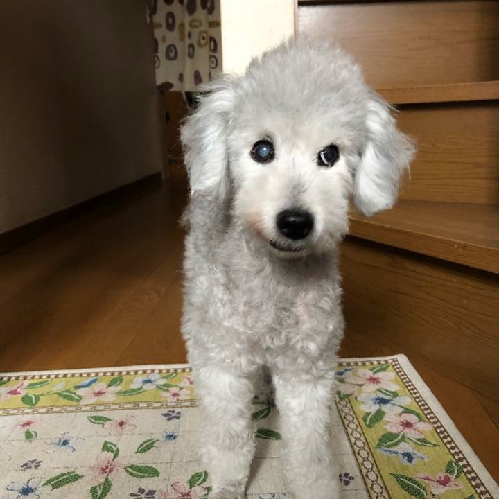 983f4970 11ee 4777 98ca 34221455bc16 1627616923826