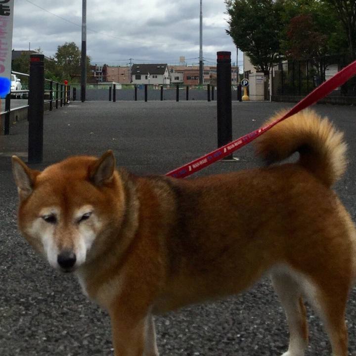 983f5b08 34fa 4951 a5a9 b8bc43bc1633 1602392926245