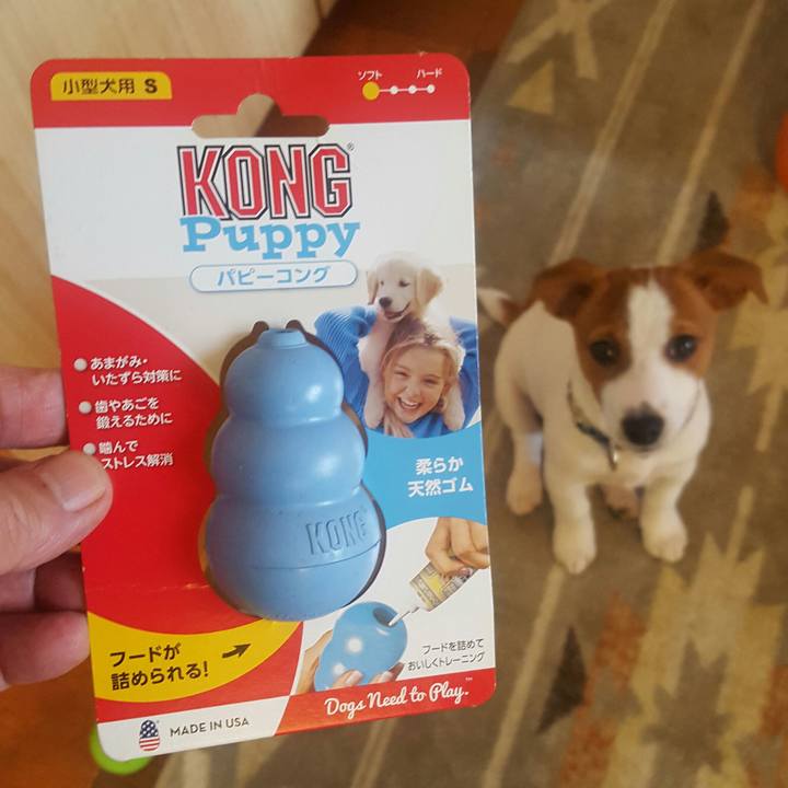 983f5b16 25d8 4a9d 9492 9e753b40e392 1551768554631