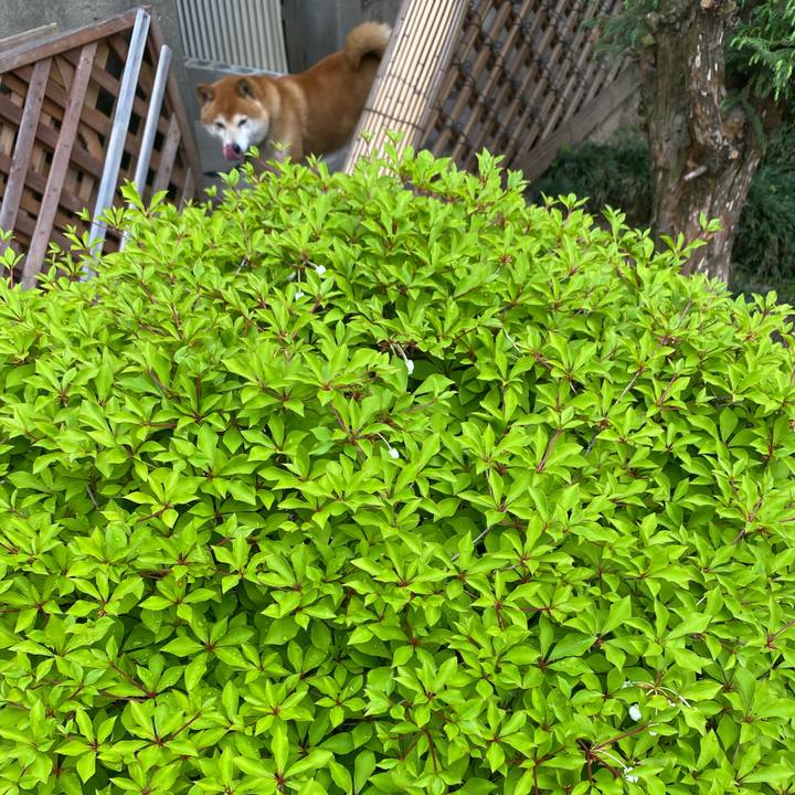 983f6802 f19a 4608 9794 8701b0895b94 1587870736662