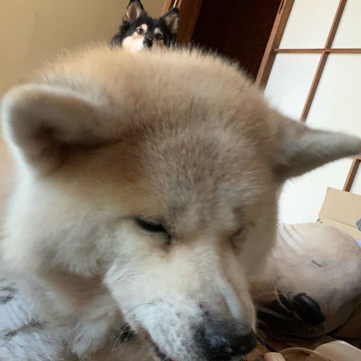 983f70f9 aa2e 4b0c 8347 6a932b6b0d01 1604468737202