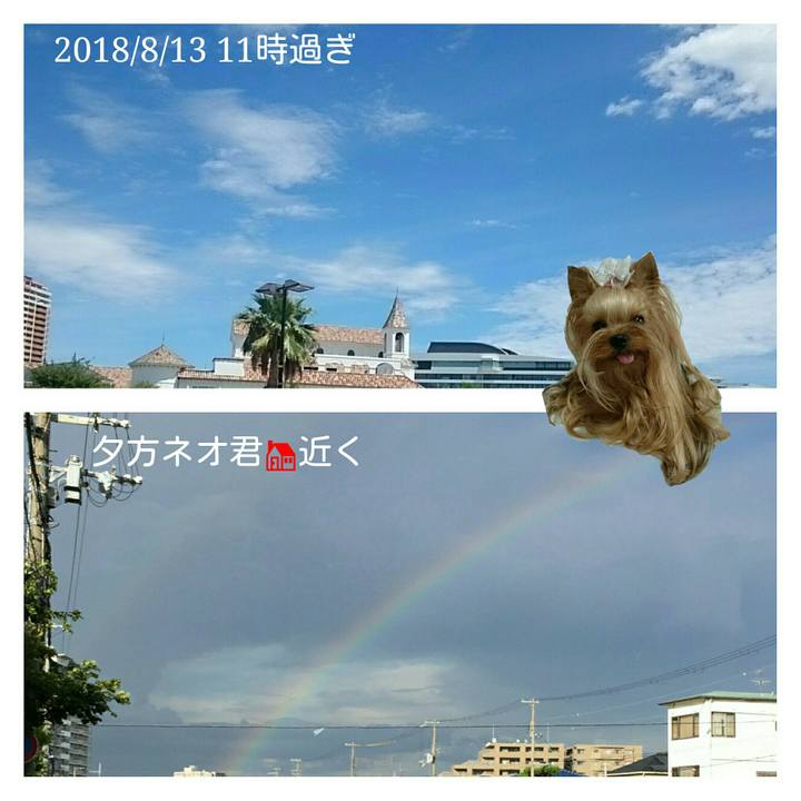 983f823b 2cea 4239 81ed c1fc2d4208ca 1534180309935