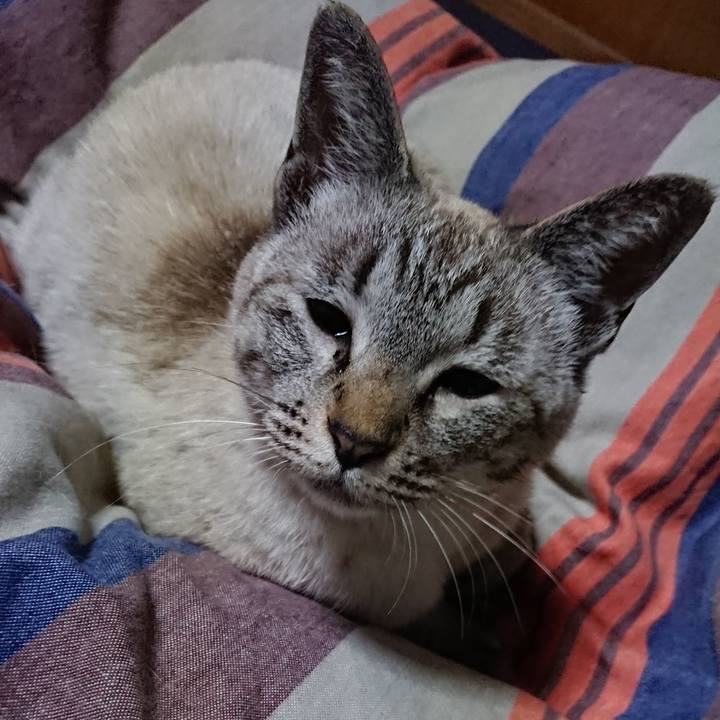 983f8488 0c4c 443c 9e2d 538489ee3a8c 1529163938819