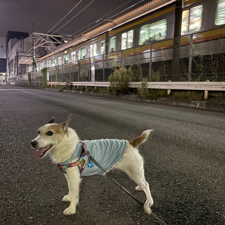 983fb183 0a64 4ae4 9177 4f95c5d2c993 1756509021162