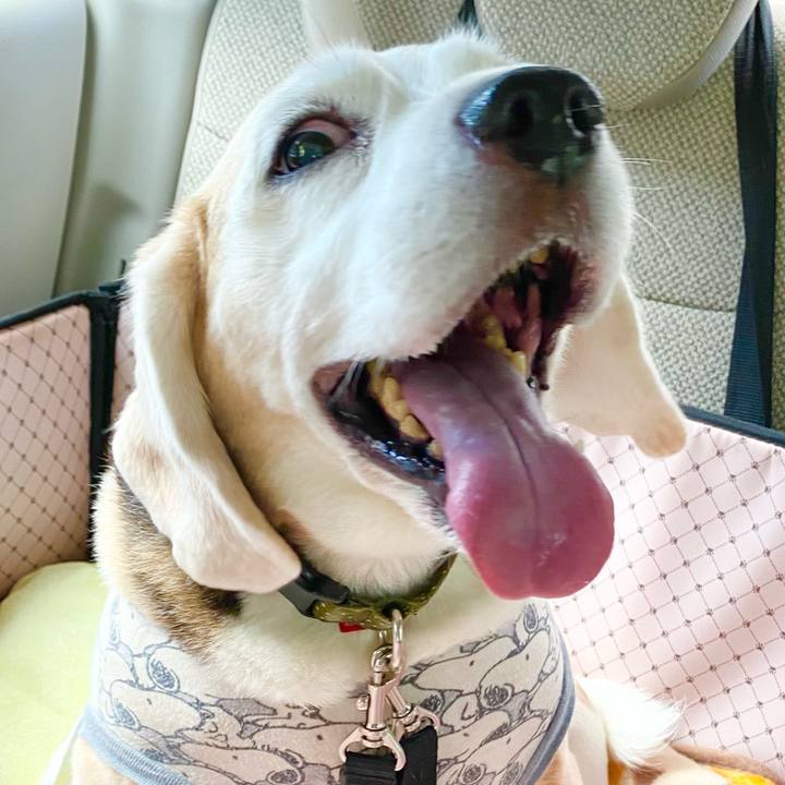 9840136c dcf2 421f 8a51 53c6221303ca 1662437953157