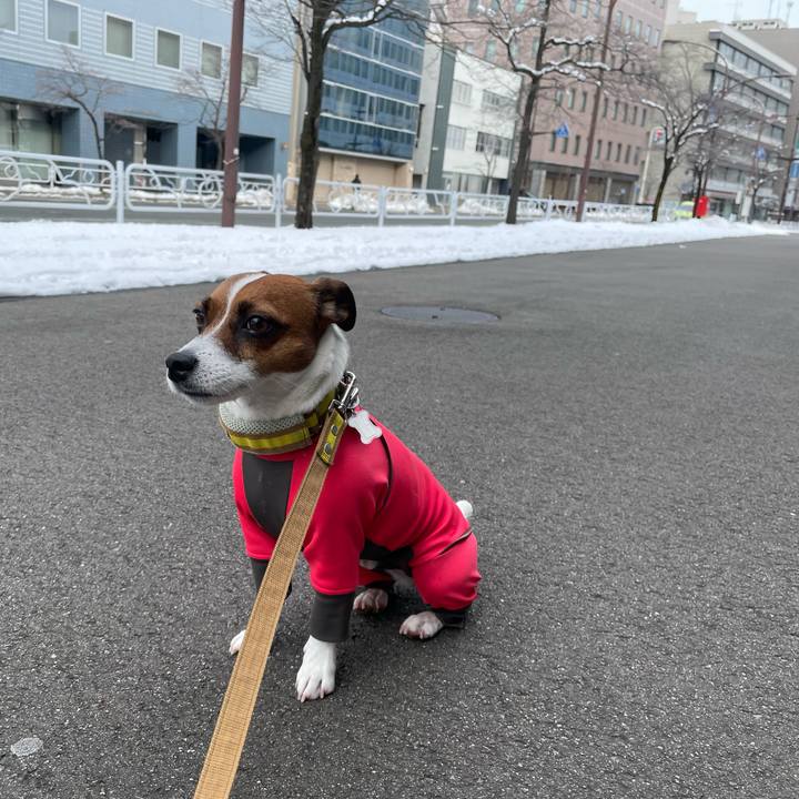 98401692 7956 40a7 82f1 060dd49f8f7d 1642921236978