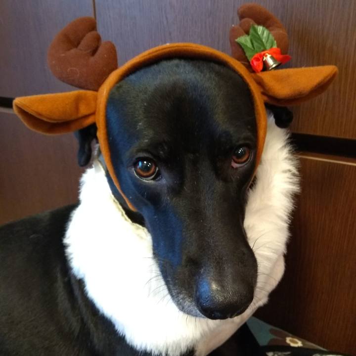 98401da1 1ef5 4833 9cc9 fd6d898267a8 1608707676724