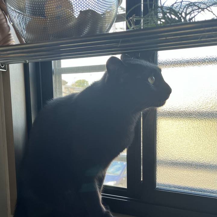 98402dc0 586d 460b 8ef3 705ad2a96ba4 1695687627626