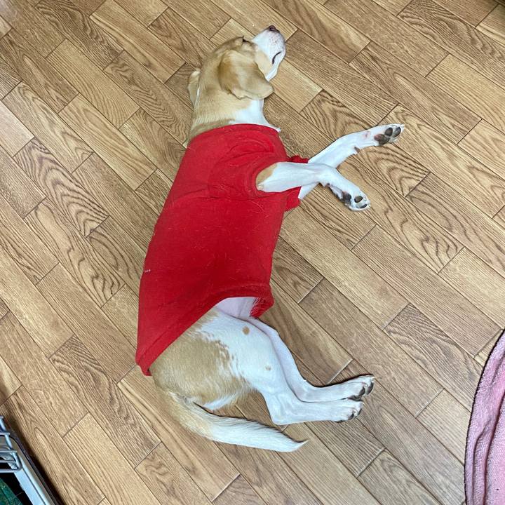 98403a87 6016 44cb b59b 13d7135f418b 1580384290957