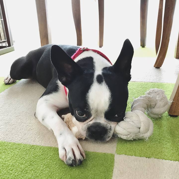 98407006 e677 4e80 9575 80cf672b21fe 1525043738558