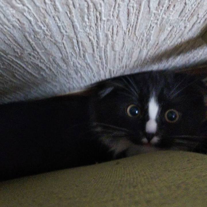 984074a4 2a2d 496e 896d b6465a5e430a 1641910357077