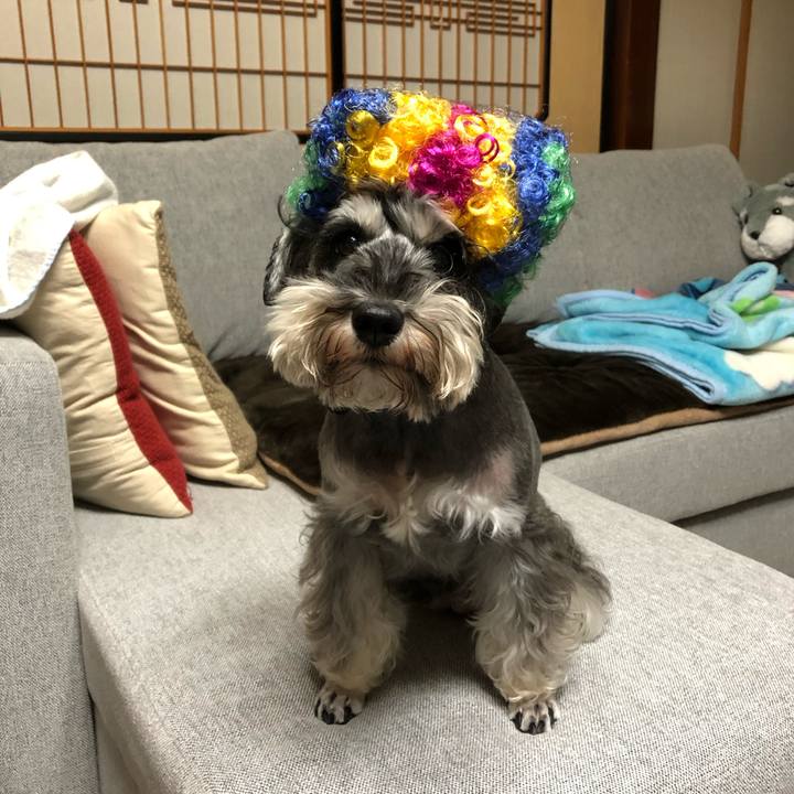 984086b2 5a77 4f50 a9b6 b5177bb38970 1572520431101