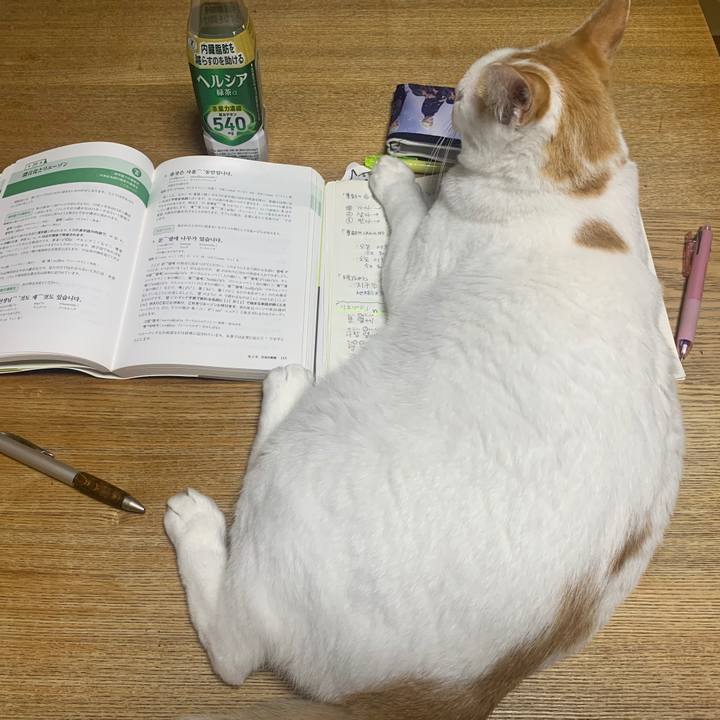 9840a79c 7eaa 4384 b6c4 437805f57c77 1593870875197