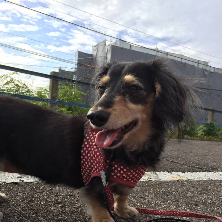 9840e6d2 cdf5 4ba4 a962 8270fdc85086 1574645258059