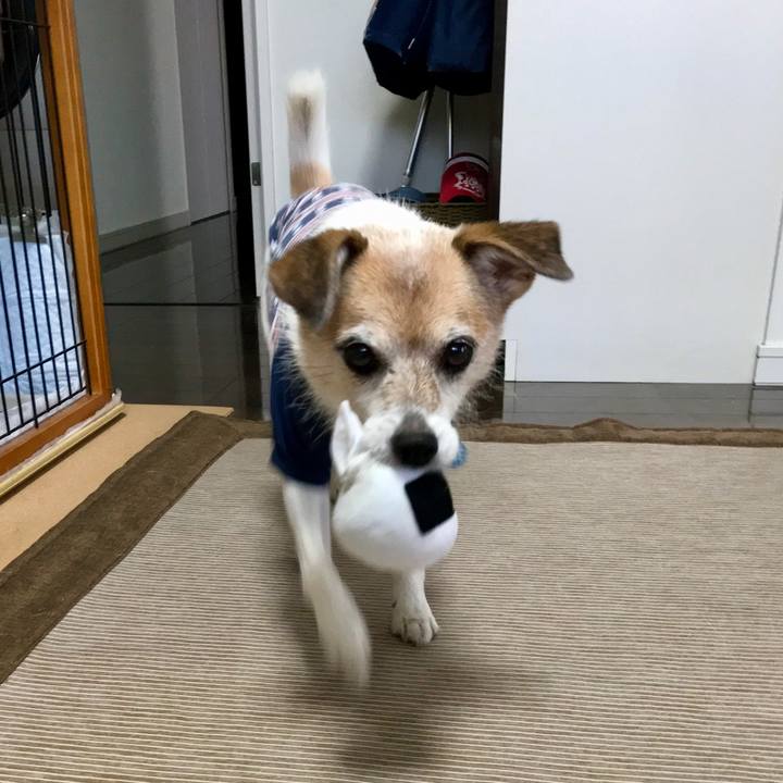 9840f583 df77 4d93 b974 b238563893db 1665963903533