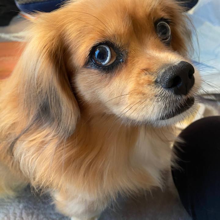 98411426 0e67 40bf a09f 3d4ef12f4022 1635978882266