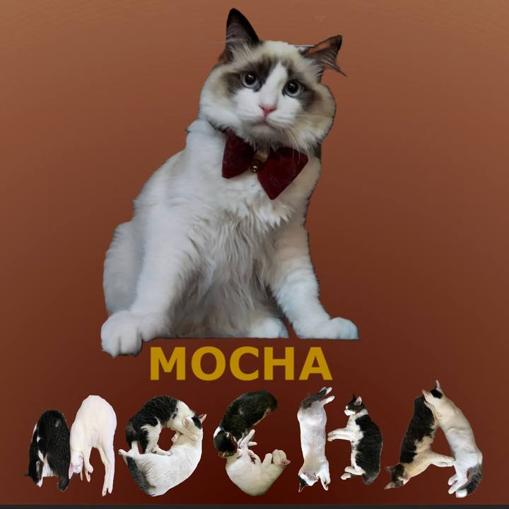 98414ef7 cf53 4efe a627 ada63a22c063 1669507893414