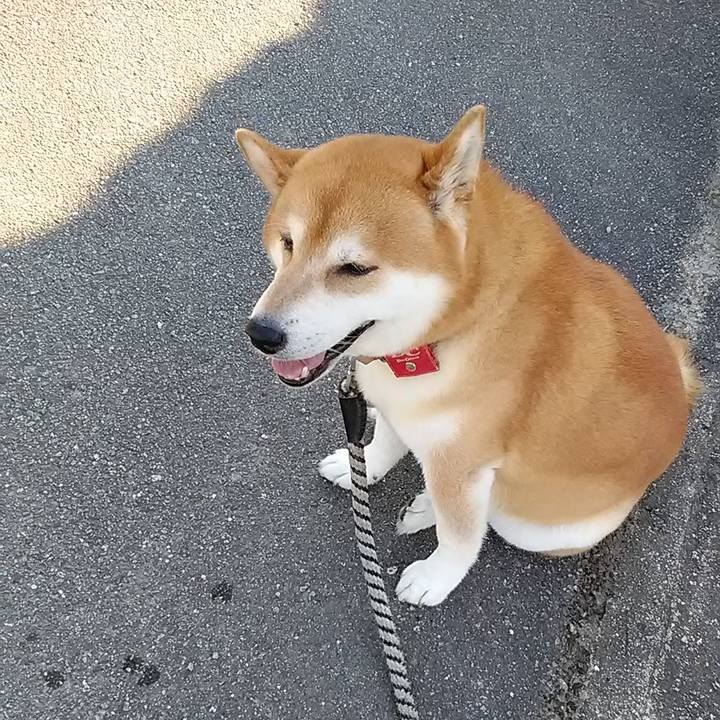 984157c3 6704 47dd 941a 970e20ef6623 1597803068948