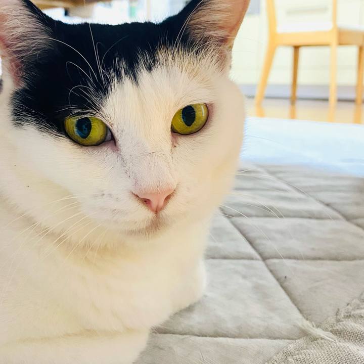 9841620c ca86 4e02 9974 3ffed846b313 1695743237264