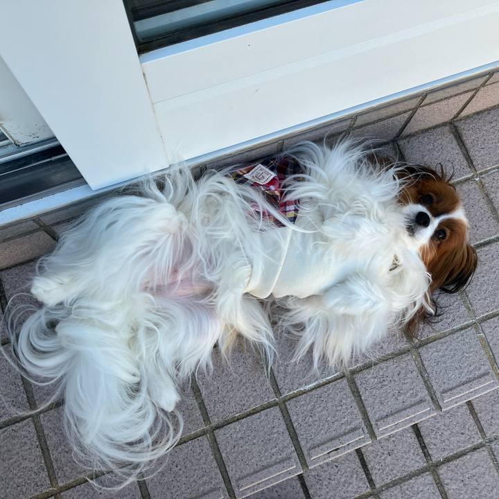 98416240 0d69 4308 ab09 2f4094aa6726 1715902818633