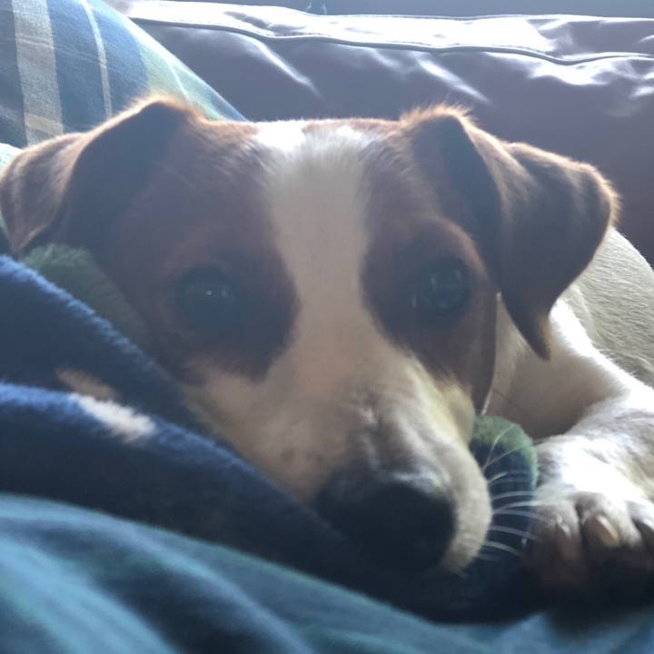 9841802d 3b1b 4a1b bc37 f6b567e99175 1561534589299