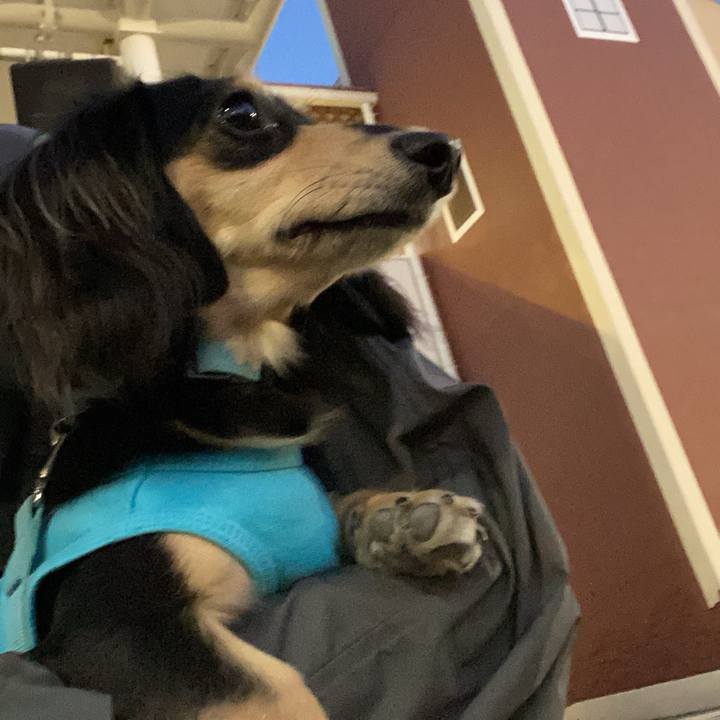 98419e53 e0ca 4165 a8f8 24a231baade1 1698827448057