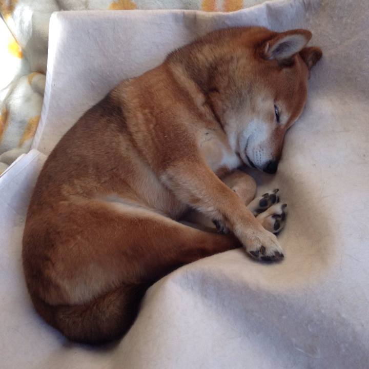 9841a5a9 3640 4db5 9c90 f8df1779137b 1548659208706