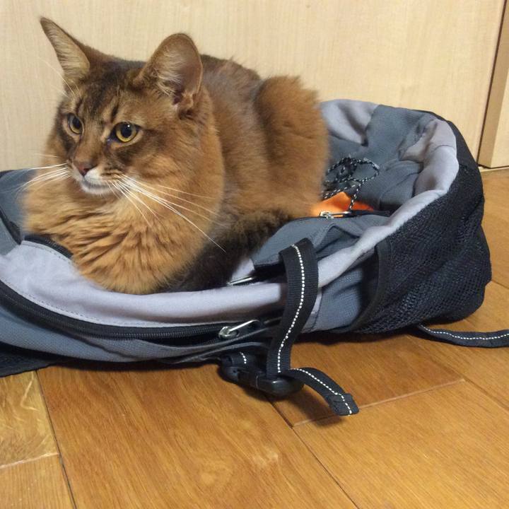 9841bf99 31ca 4d1f b29d 178178a32caf 1610408992454