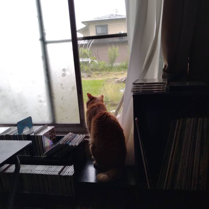 9841c603 f8f1 46ef 8513 13f23570b933 1686865417223