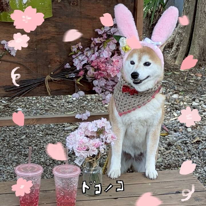 9842062e ed85 4379 807b 7c1b2c36f6dd 1744764998633