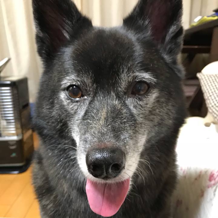 98420bdb d988 4990 80e4 a33f306936a1 1540688057875