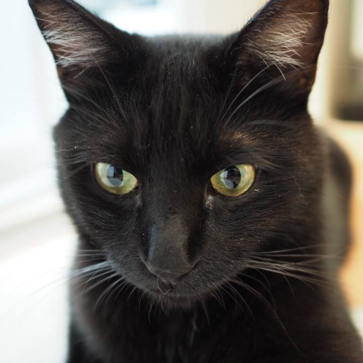 98421c82 2e88 4b00 82e0 65a34804b5ad 1562801731056