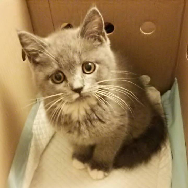 98422cb7 c4c0 46bb 8822 ef53f06b4c8b 1530535479964