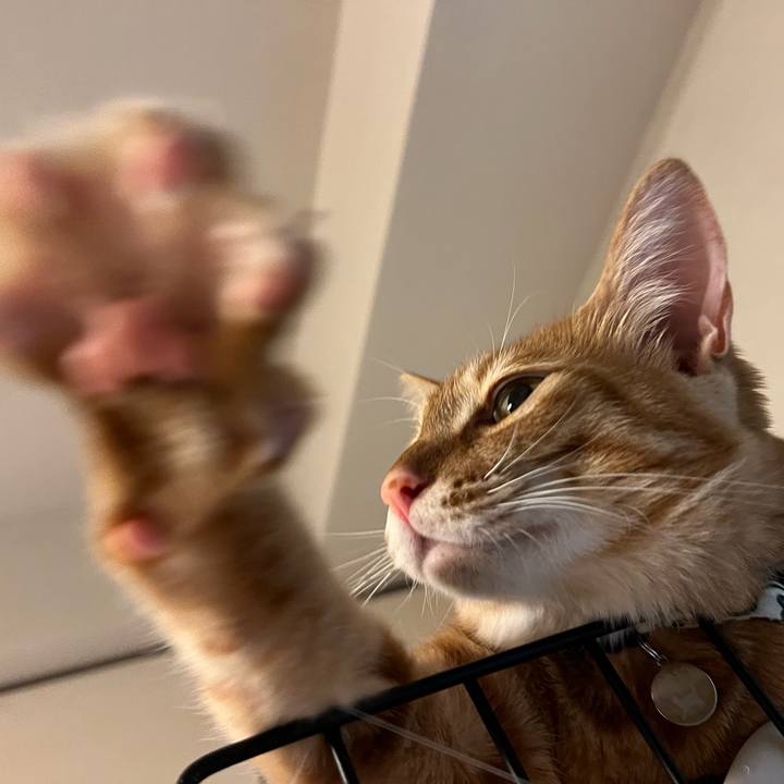 984238fa e0c3 4797 a5c7 f8d7cf5ba92f 1656204974984