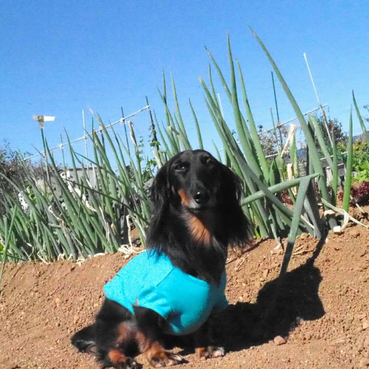 984242f4 bf77 491c aa47 3c5117577442 1541128870722