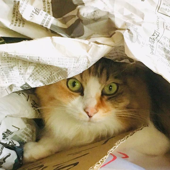 984273df 7ac4 4e57 8823 3fac07d658f3 1558388520690