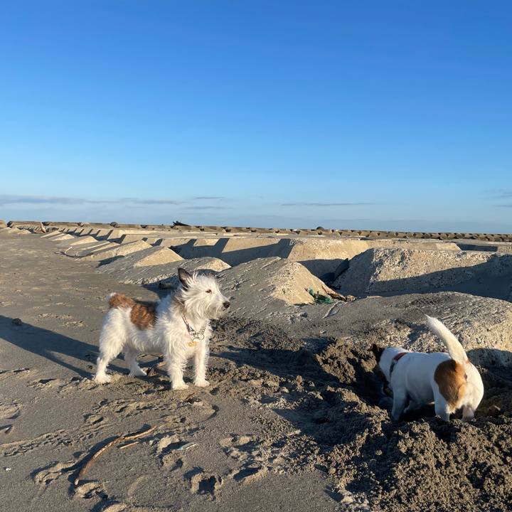 984276be 2127 4df4 9886 21299ef106cd 1700609838130