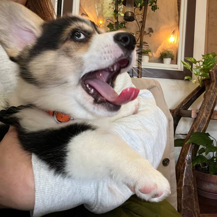 98427a7d 7486 4479 84af 7b14ab46249e 1769342963336