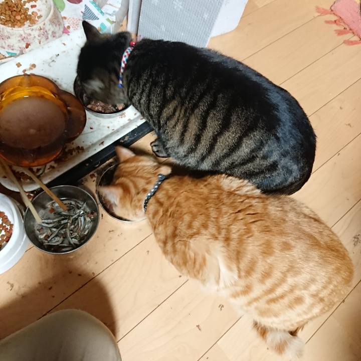 9842909b 0c99 4a1d 8e66 89a04fde381d 1641808302541