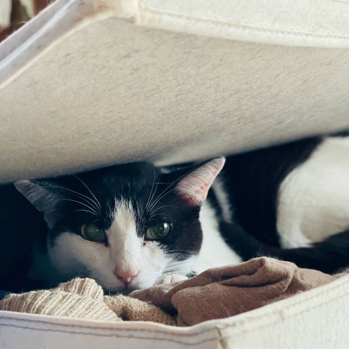 984299bd ff08 4dae bf00 379e8d799438 1659238691767