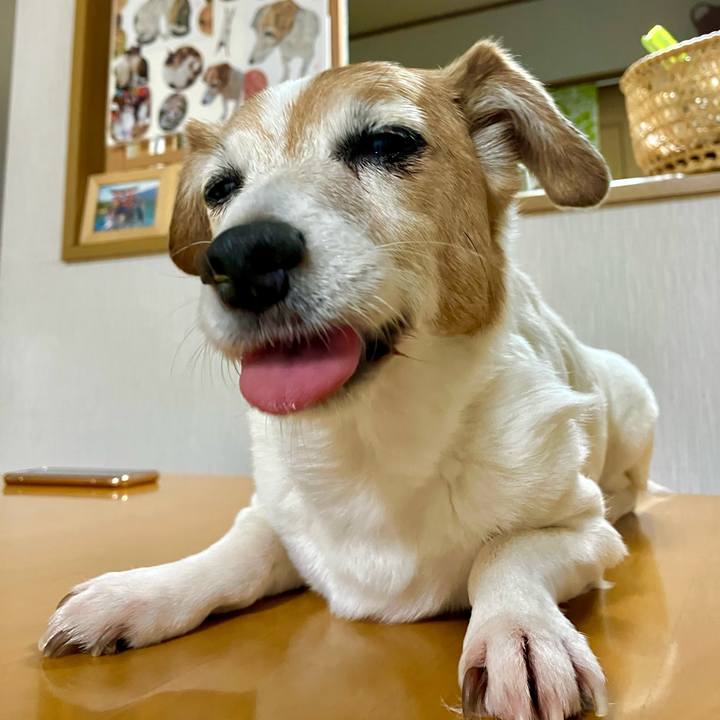 98429b25 84a0 4aee bd1d d07d379e2128 1722002142334