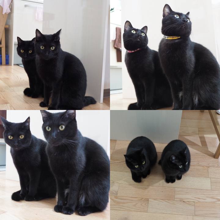 9842eb99 d653 4659 99e9 c4be0fd4d47c 1542953072180