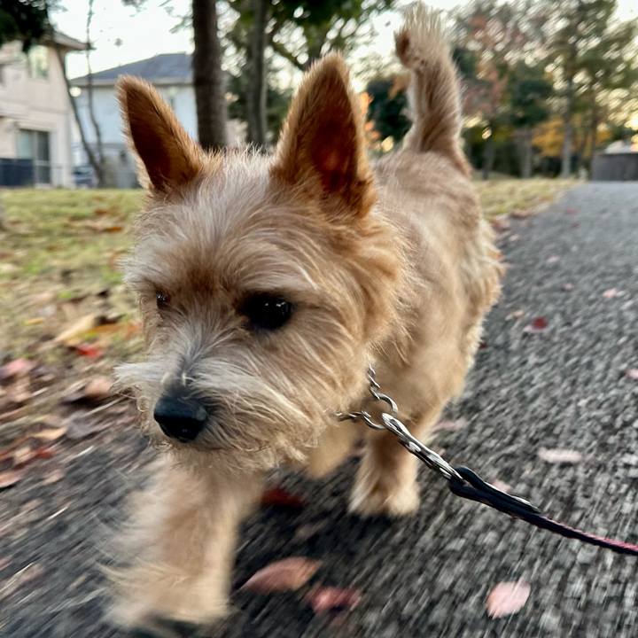 9842f275 08e7 41f4 a2ce c493c2a80b11 1731981368882