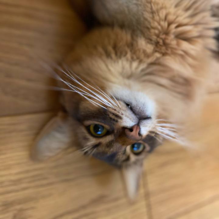 984352b9 cc63 4b0b 81f1 2fa9800ef346 1652346620246