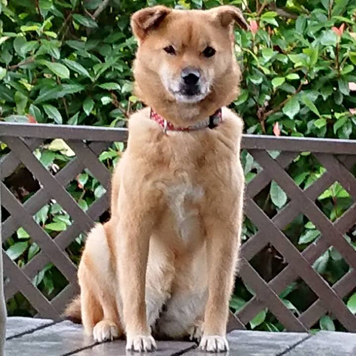 98439f77 e84f 4a4e b228 9354c5a58b41 1665412019262