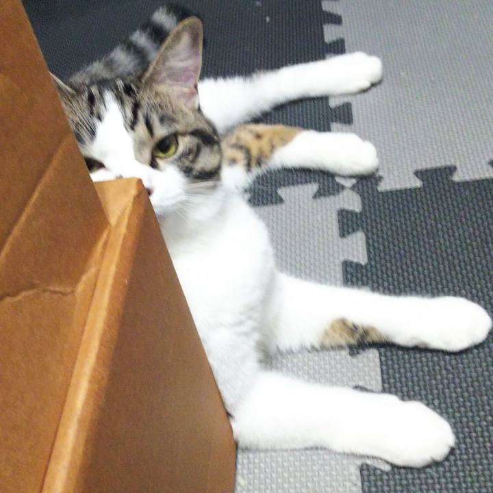 9843a5f0 668c 48a2 a025 96915c6240bd 1625525248075