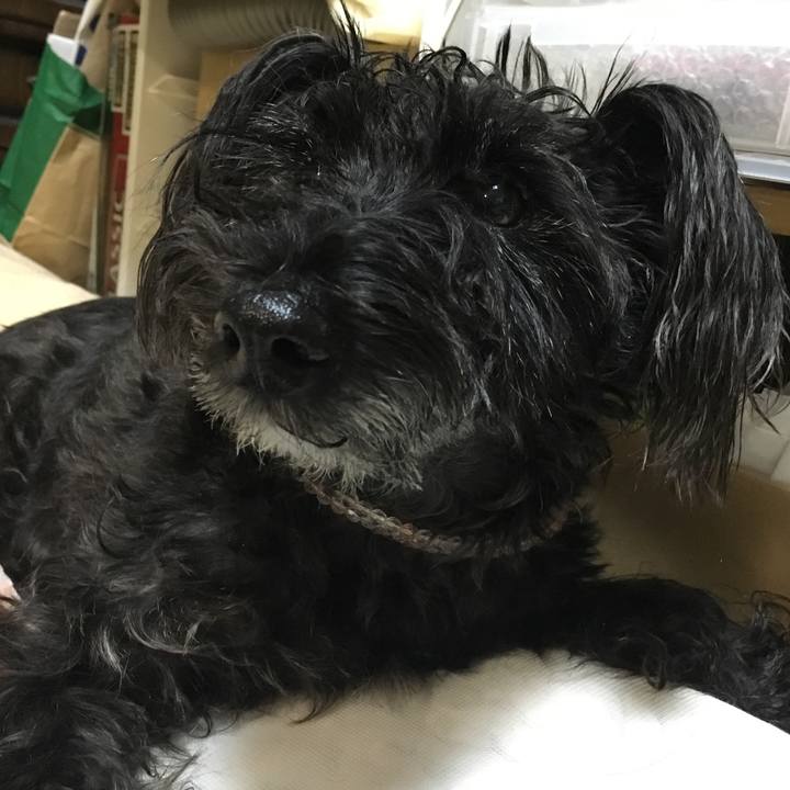 9843ca4b 9ca9 432e 9a47 9dd11eccfc79 1543882780040