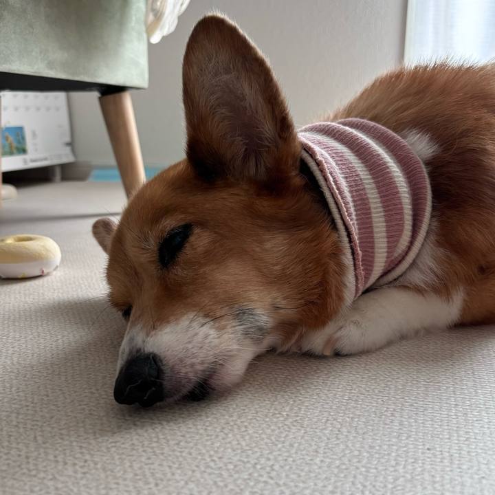 9843cb5a 5614 4492 b788 14d7db5963d7 1756963687147